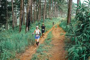 BIB: 
                            <button type="button" onclick="openModal(25682164)" class="btn btn-primary btn-sm float-right btn-popup" data-toggle="modal" data-target=".modal-high-quality">
                        <i class="fas fa-shopping-cart"></i> Add to Cart
                    </button>
                                            <button type="button" onclick="isThisMe(25682164, true)" class="btn btn-success btn-sm float-right btn-popup btn-isme hidden" data-toggle="tooltip" data-placement="bottom" title="นี่คือรูปของคุณใช่ไหม คลิกที่นี่เพื่อเอาเข้าอัลบั้ม">
                        <i class="fas fa-plus"></i> Add to album
                    </button>
                    <button type="button" onclick="isThisMe(25682164, false)" class="btn btn-warning btn-sm float-right btn-popup btn-isnotme hidden">
                        <i class="fas fa-ban"></i> Remove from album
                    </button>